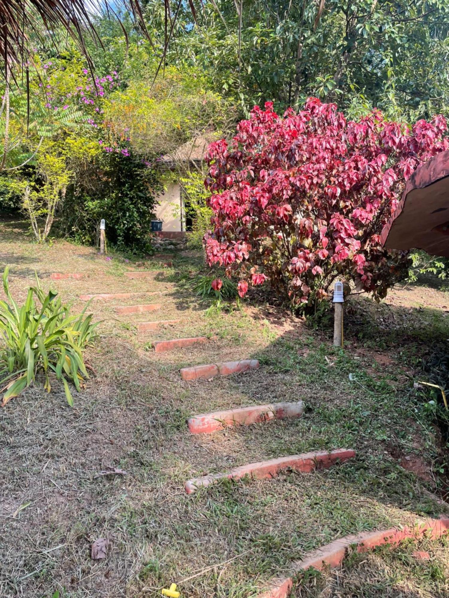 Chiang Dao Roundhouses Buitenkant foto