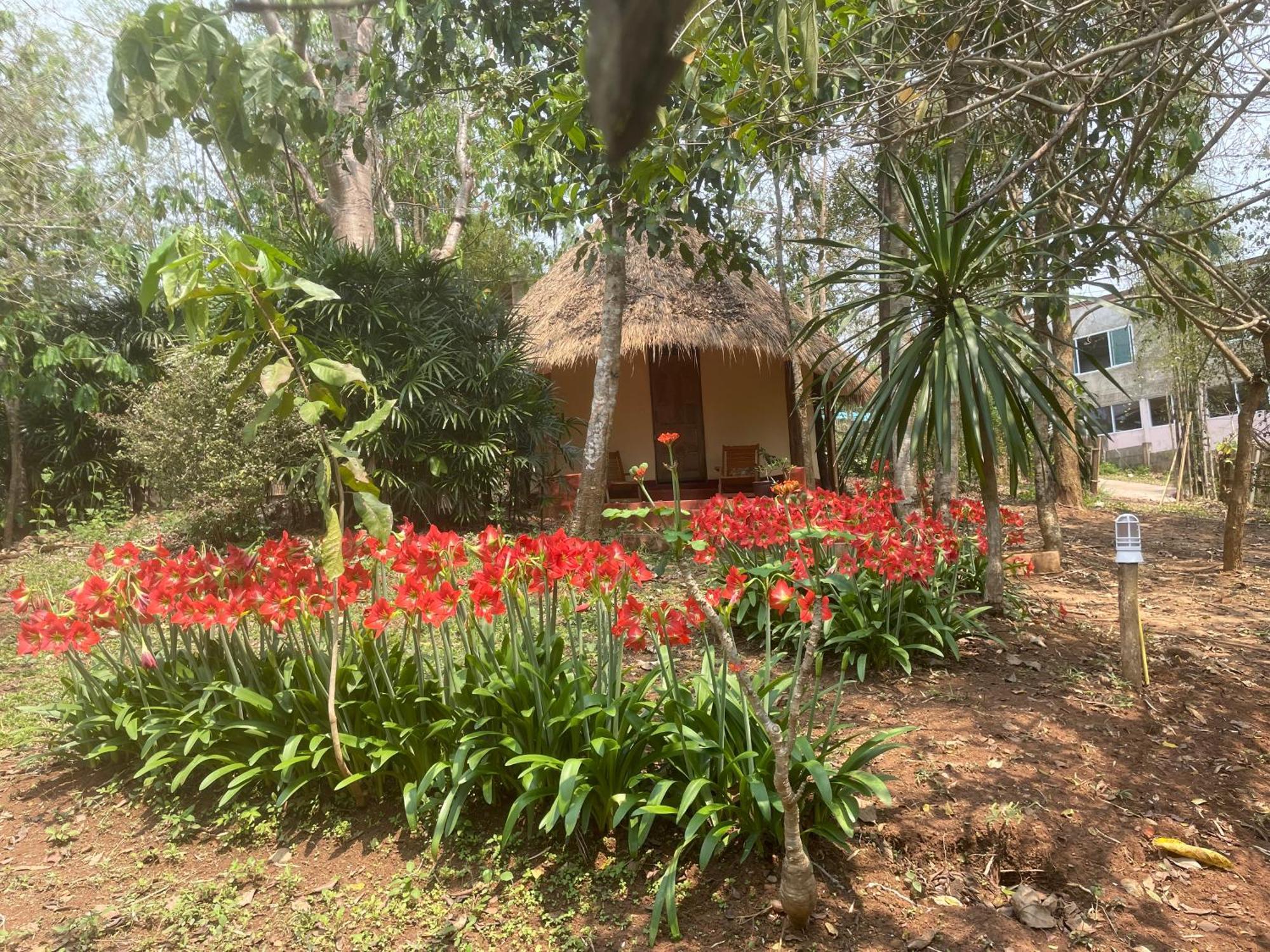Chiang Dao Roundhouses Buitenkant foto