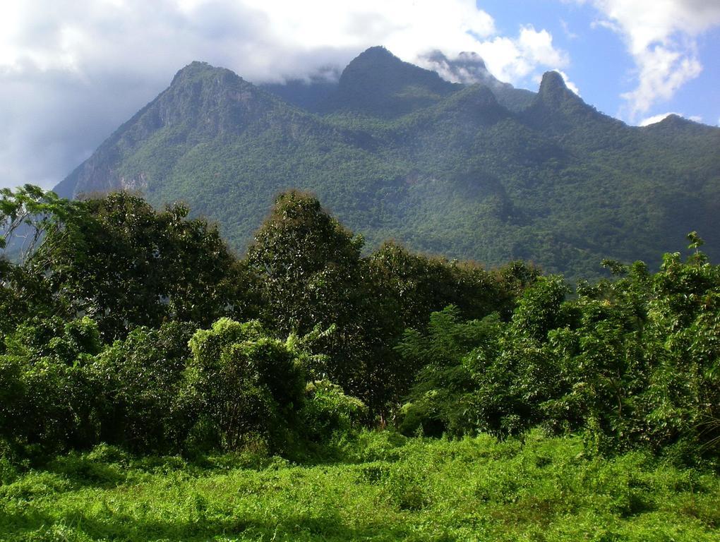 Chiang Dao Roundhouses Buitenkant foto