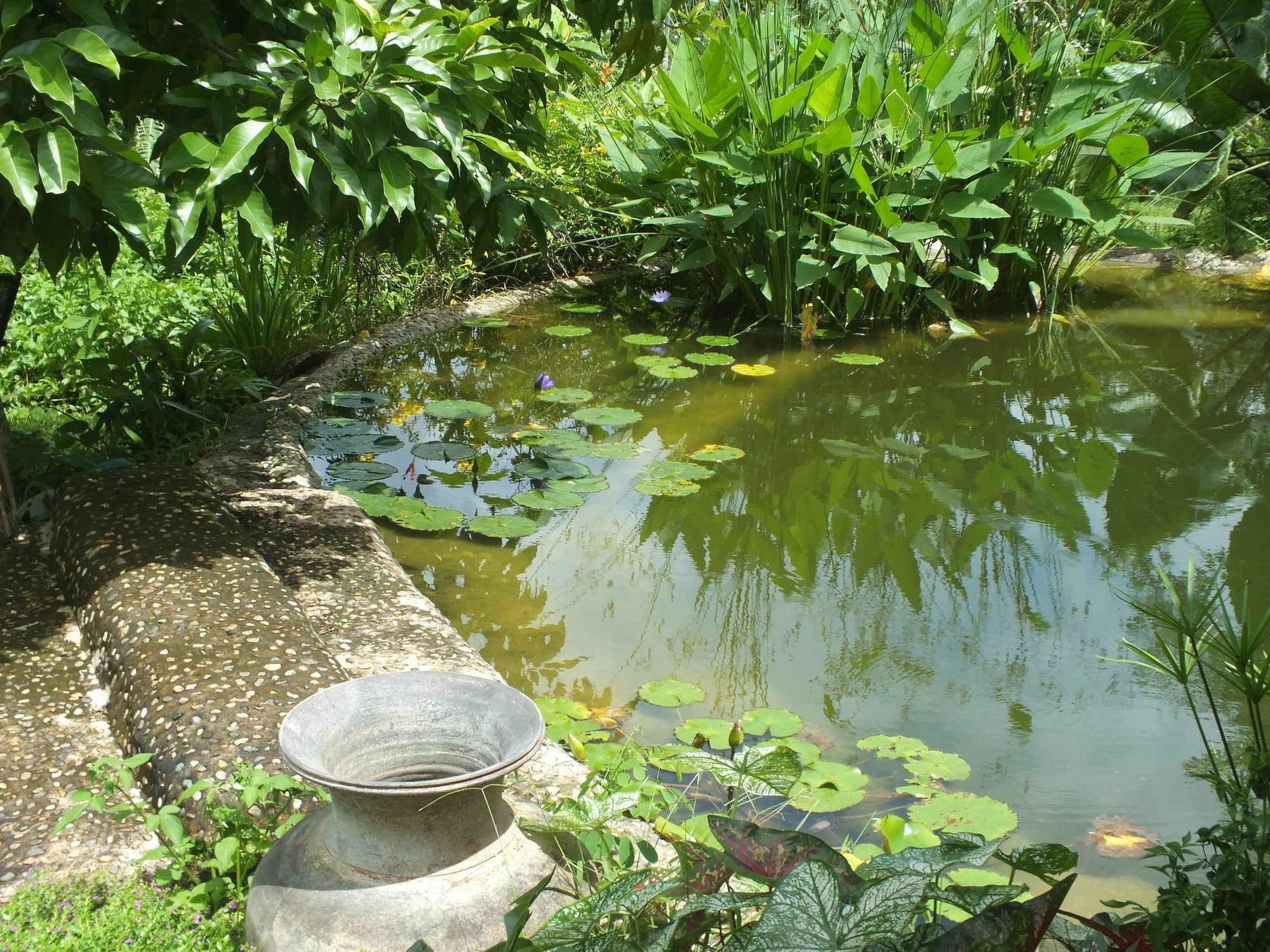 Chiang Dao Roundhouses Buitenkant foto